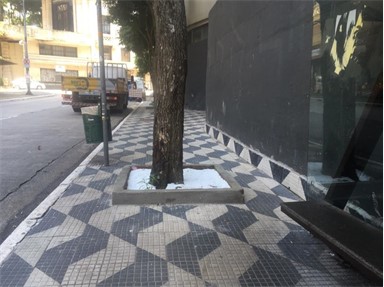 Aphoto of a sidewalk with a tree in a bed and a bench